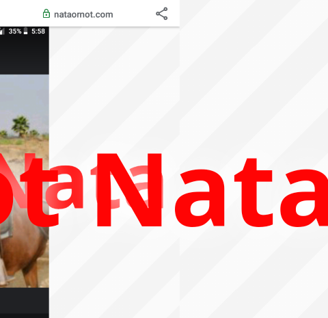 not a nata nataornot.com Blank Meme Template