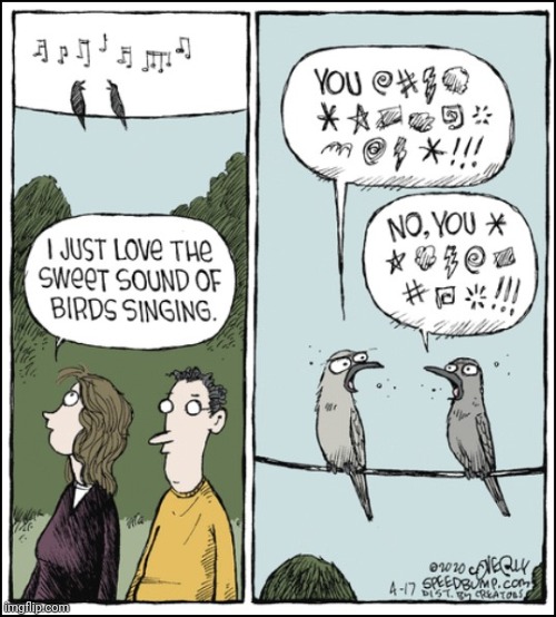 I KNEW IT | image tagged in birds,comics/cartoons | made w/ Imgflip meme maker