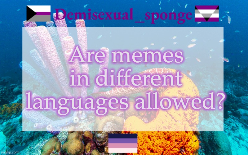 Question |  Are memes in different languages allowed? | image tagged in demisexual_sponge's template 3,demisexual_sponge | made w/ Imgflip meme maker