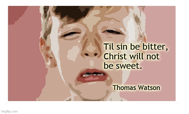 BitterSweet | Til sin be bitter, 
Christ will not 
be sweet. Thomas Watson | image tagged in bitter | made w/ Imgflip meme maker