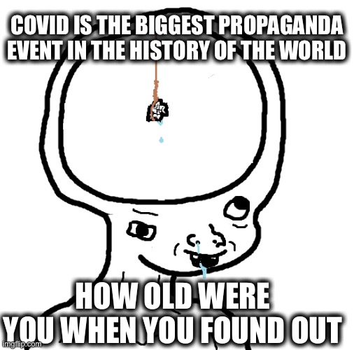 Dumb wojak | COVID IS THE BIGGEST PROPAGANDA EVENT IN THE HISTORY OF THE WORLD; HOW OLD WERE YOU WHEN YOU FOUND OUT | image tagged in dumb wojak | made w/ Imgflip meme maker