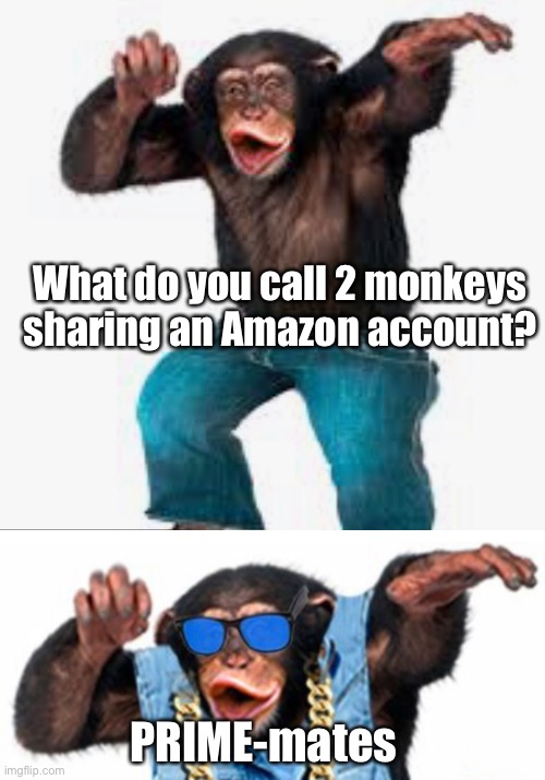 Dad jokes suck | What do you call 2 monkeys sharing an Amazon account? PRIME-mates | image tagged in dad joke,stupid memes,crappy memes | made w/ Imgflip meme maker