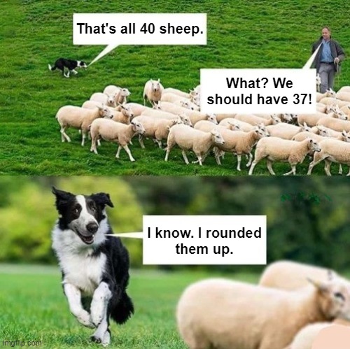 Who's the good boy?! | That's all 40 sheep. What? We should have 37! I know. I rounded
them up. | image tagged in dogs,pun,sheep,eyeroll,math,counting | made w/ Imgflip meme maker