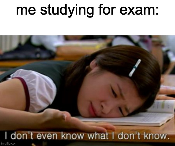exa m | me studying for exam: | image tagged in i don't even know what i don't know | made w/ Imgflip meme maker