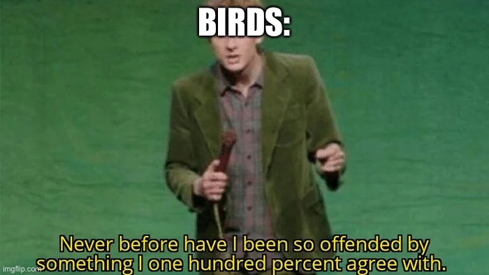 Never have i been so offended | BIRDS: | image tagged in never have i been so offended | made w/ Imgflip meme maker