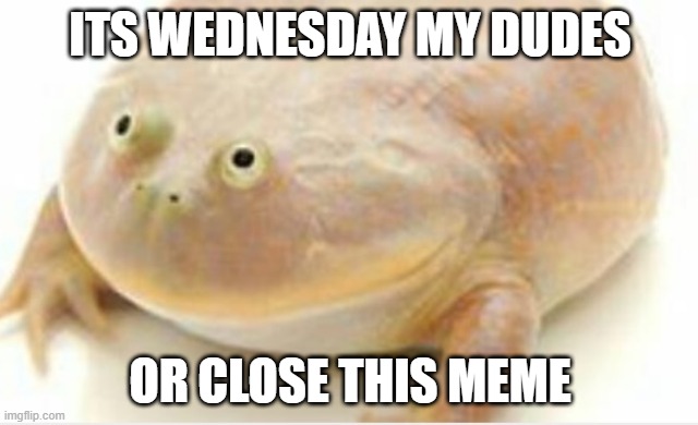 It's Wednesday my dudes |  ITS WEDNESDAY MY DUDES; OR CLOSE THIS MEME | image tagged in it's wednesday my dudes | made w/ Imgflip meme maker