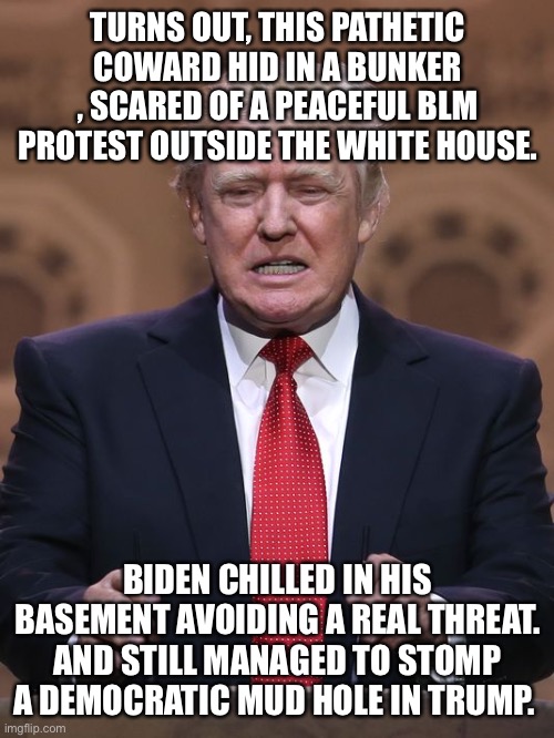 Donald Trump | TURNS OUT, THIS PATHETIC COWARD HID IN A BUNKER , SCARED OF A PEACEFUL BLM PROTEST OUTSIDE THE WHITE HOUSE. BIDEN CHILLED IN HIS BASEMENT AVOIDING A REAL THREAT. AND STILL MANAGED TO STOMP A DEMOCRATIC MUD HOLE IN TRUMP. | image tagged in donald trump | made w/ Imgflip meme maker