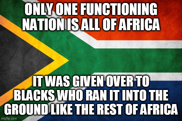 South Africa (here i come) | ONLY ONE FUNCTIONING NATION IS ALL OF AFRICA; IT WAS GIVEN OVER TO BLACKS WHO RAN IT INTO THE GROUND LIKE THE REST OF AFRICA | image tagged in south africa here i come | made w/ Imgflip meme maker