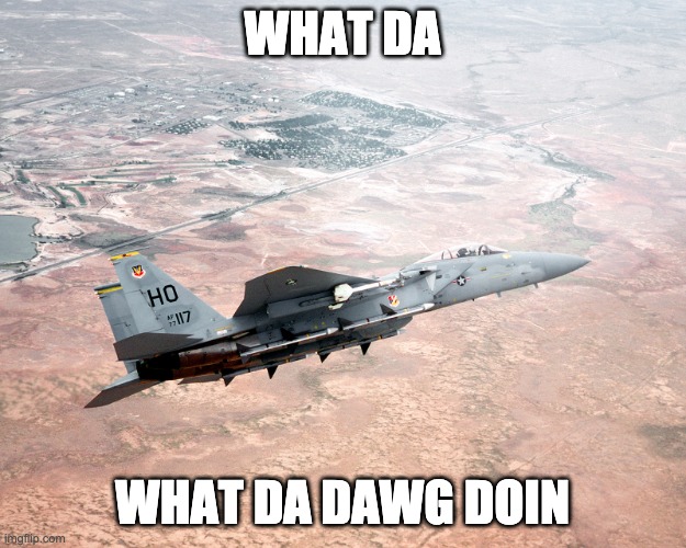 What da dawg doin | WHAT DA; WHAT DA DAWG DOIN | image tagged in fighter jet | made w/ Imgflip meme maker