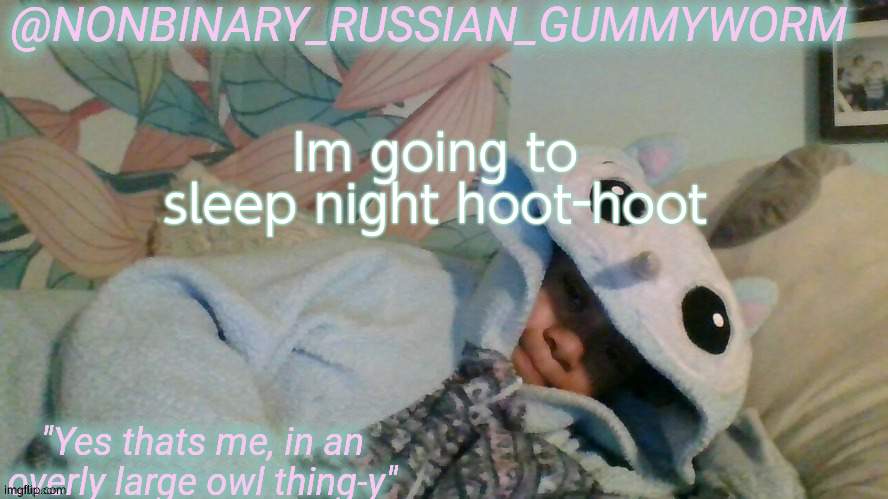 Good night hoot | Im going to sleep night hoot-hoot | image tagged in gummyworm's overly large owl thingy temp | made w/ Imgflip meme maker