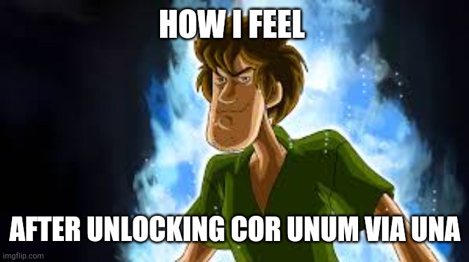 Prefects be like | HOW I FEEL; AFTER UNLOCKING COR UNUM VIA UNA | image tagged in all powerful shaggy | made w/ Imgflip meme maker