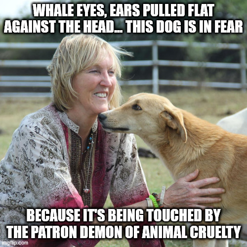 PETA is NOT Pet-Friendly | WHALE EYES, EARS PULLED FLAT AGAINST THE HEAD... THIS DOG IS IN FEAR; BECAUSE IT'S BEING TOUCHED BY THE PATRON DEMON OF ANIMAL CRUELTY | image tagged in ingrid newkirk,peta | made w/ Imgflip meme maker