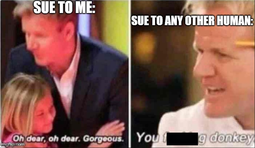 She's 14 and hates humans with a passion | SUE TO ME:; SUE TO ANY OTHER HUMAN: | image tagged in oh dear oh dear gorgeous,you fcking donkey | made w/ Imgflip meme maker