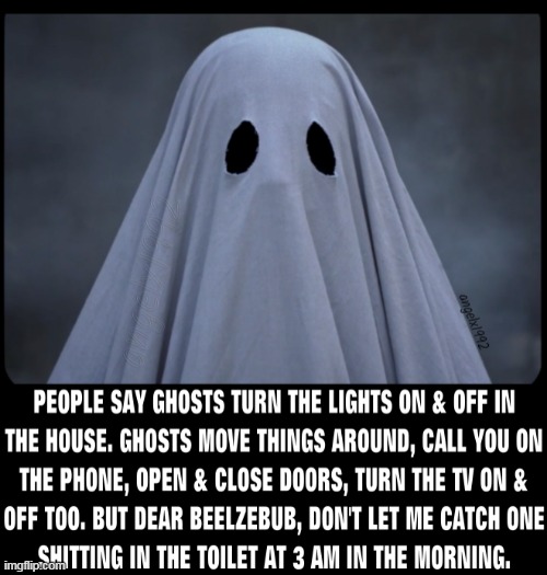 image tagged in ghost,spirit,poltergeist,spooks,toilet,ghosts | made w/ Imgflip meme maker
