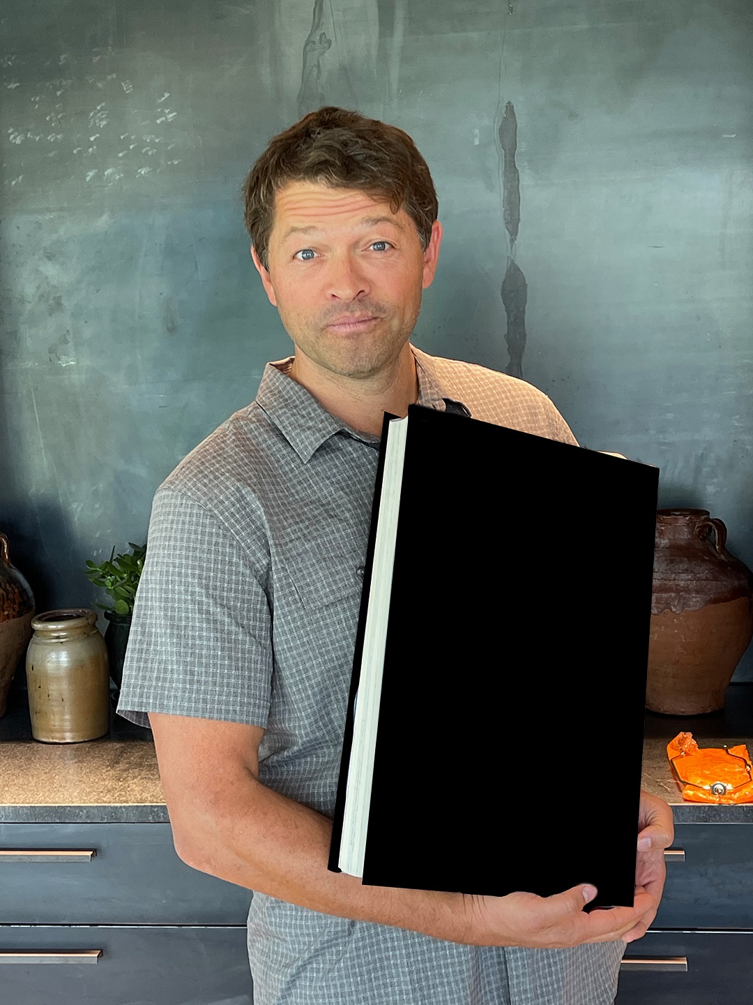 High Quality Misha Redacted Blank Meme Template