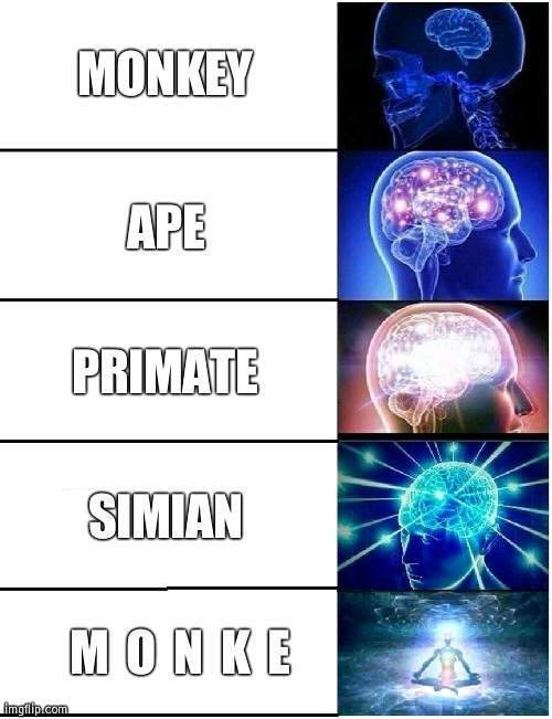 m       o       n       k       e | MONKEY; APE; PRIMATE; SIMIAN; M  O  N  K  E | image tagged in expanding brain 5 panel | made w/ Imgflip meme maker