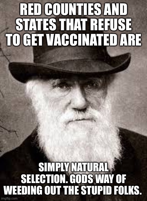 Charles Darwin | RED COUNTIES AND STATES THAT REFUSE TO GET VACCINATED ARE; SIMPLY NATURAL SELECTION. GODS WAY OF WEEDING OUT THE STUPID FOLKS. | image tagged in charles darwin | made w/ Imgflip meme maker