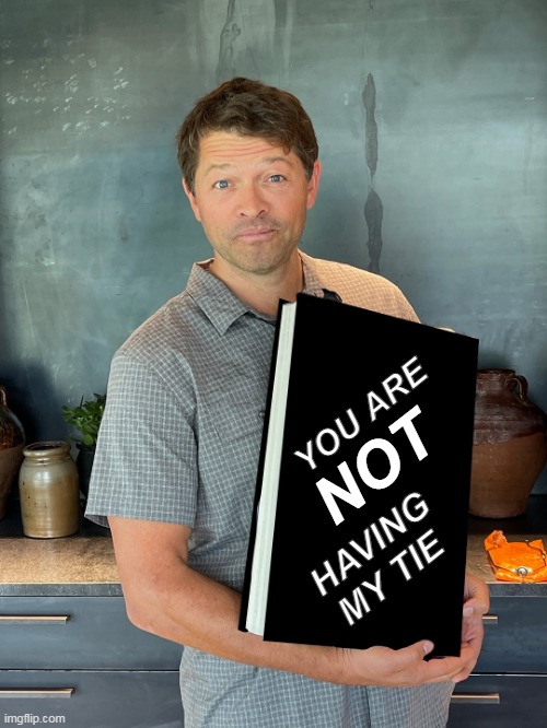 Misha Redacted | YOU ARE; NOT; HAVING
   MY TIE | image tagged in misha redacted | made w/ Imgflip meme maker