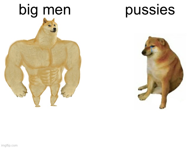 pussies arent cor unum via una | big men; pussies | image tagged in memes,buff doge vs cheems | made w/ Imgflip meme maker