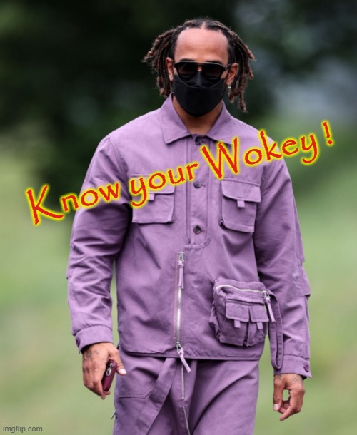 Know your Wokey ! | Know your Wokey ! | image tagged in sad hamilton | made w/ Imgflip meme maker