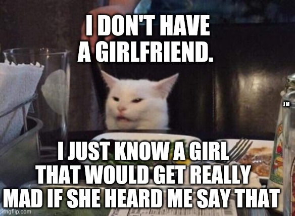 Salad cat | I DON'T HAVE A GIRLFRIEND. J M; I JUST KNOW A GIRL THAT WOULD GET REALLY MAD IF SHE HEARD ME SAY THAT | image tagged in salad cat | made w/ Imgflip meme maker