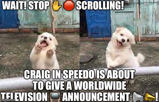 Wait! Stop scrolling! | WAIT! STOP ✋ 🛑 SCROLLING! CRAIG IN SPEEDO IS ABOUT TO GIVE A WORLDWIDE TELEVISION 📺 ANNOUNCEMENT 📢 📣! | image tagged in wait stop scrolling | made w/ Imgflip meme maker