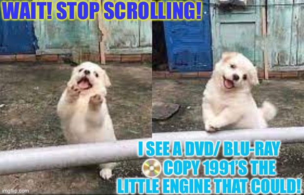 Wait! Stop scrolling! | WAIT! STOP SCROLLING! I SEE A DVD/ BLU-RAY 📀 COPY 1991’S THE LITTLE ENGINE THAT COULD! | image tagged in wait stop scrolling | made w/ Imgflip meme maker