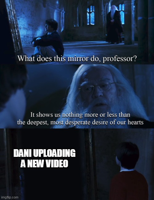 dani is missing i think | DANI UPLOADING A NEW VIDEO | image tagged in harry potter mirror | made w/ Imgflip meme maker