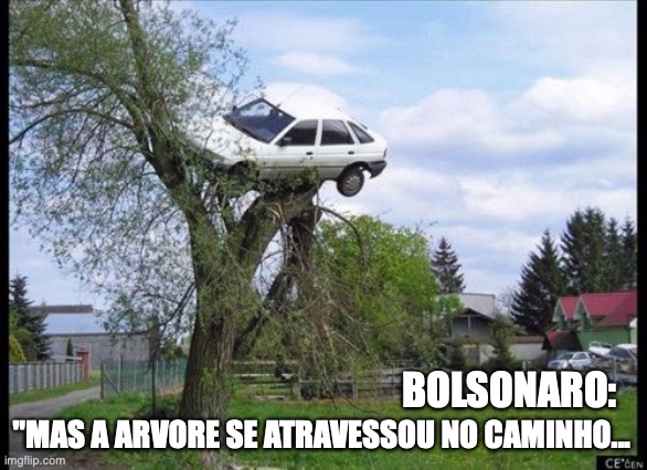 Bolsonaro brasil | BOLSONARO:; "MAS A ARVORE SE ATRAVESSOU NO CAMINHO... | image tagged in bolsonaro,milicia,corrupto,facista,arvore,carro | made w/ Imgflip meme maker