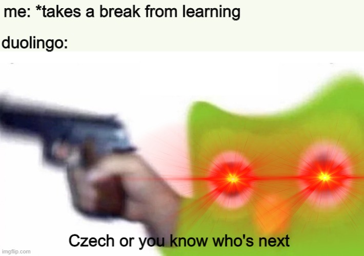 duolingo:; me: *takes a break from learning; Czech or you know who's next | image tagged in duolingo gun | made w/ Imgflip meme maker