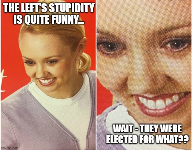WAIT WHAT? | THE LEFT'S STUPIDITY IS QUITE FUNNY... WAIT - THEY WERE ELECTED FOR WHAT?? | image tagged in wait what | made w/ Imgflip meme maker