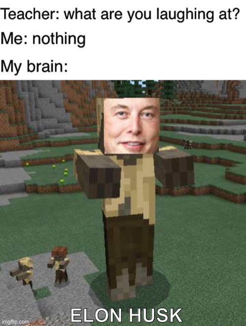 ELON HUSK | image tagged in teacher what are you laughing at | made w/ Imgflip meme maker