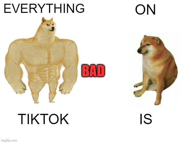 Buff Doge vs. Cheems Meme | EVERYTHING ON TIKTOK IS BAD | image tagged in memes,buff doge vs cheems | made w/ Imgflip meme maker