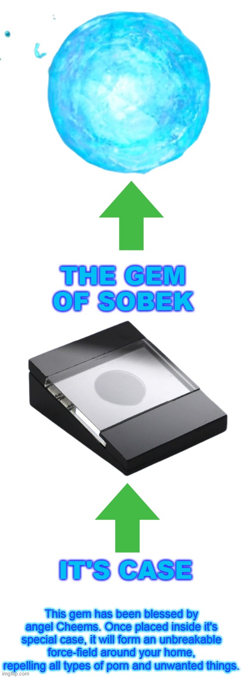 I'm selling it for $150. | THE GEM OF SOBEK; IT'S CASE; This gem has been blessed by angel Cheems. Once placed inside it's special case, it will form an unbreakable force-field around your home, repelling all types of porn and unwanted things. | image tagged in blank white template,memes,blank transparent square | made w/ Imgflip meme maker
