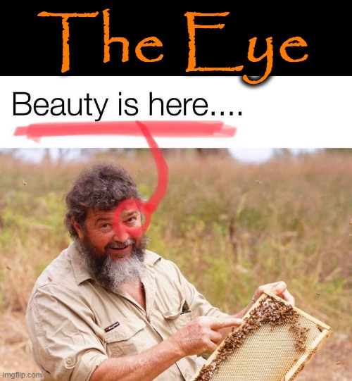 The Eye | The Eye | image tagged in behold dr doofenshmirtz | made w/ Imgflip meme maker