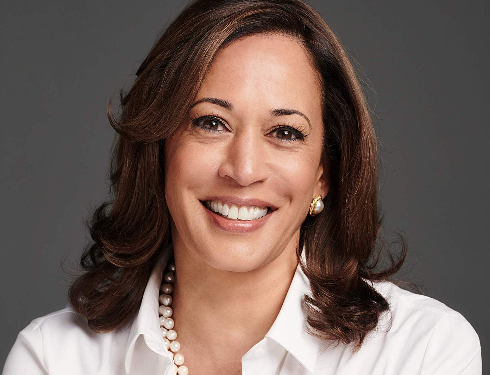 Vice President Kamala Harris, target of the GOP mud machine Blank Meme Template