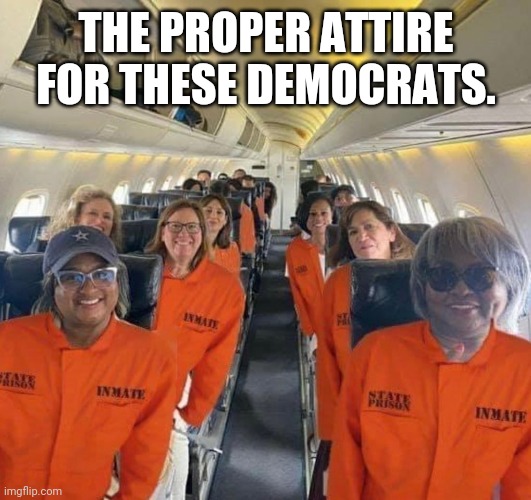 Fleeing to block voting restrictions is illegal. Fyi. | THE PROPER ATTIRE FOR THESE DEMOCRATS. | image tagged in memes | made w/ Imgflip meme maker