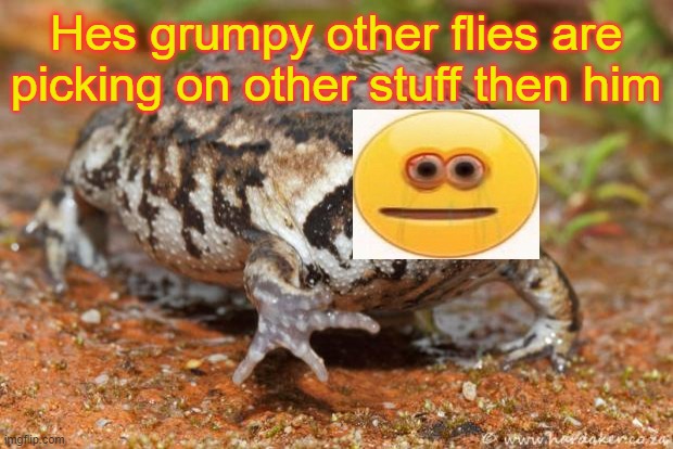 CURSED IMAGE | Hes grumpy other flies are picking on other stuff then him | image tagged in memes,grumpy toad | made w/ Imgflip meme maker