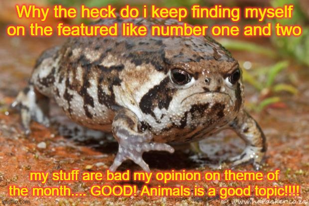Now how the heck do I get back on.... | Why the heck do i keep finding myself on the featured like number one and two; my stuff are bad my opinion on theme of the month.... GOOD! Animals is a good topic!!!! | image tagged in memes,grumpy toad | made w/ Imgflip meme maker