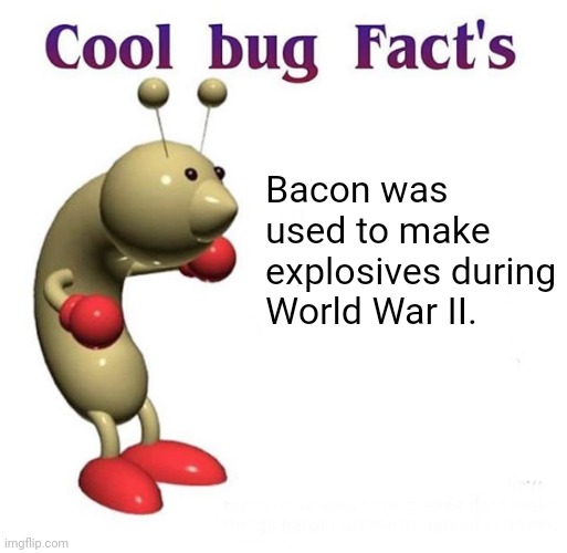 Random fact | Bacon was used to make explosives during World War II. | image tagged in facts | made w/ Imgflip meme maker