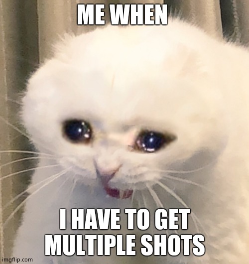 Me when i have to get multiple shots | ME WHEN; I HAVE TO GET MULTIPLE SHOTS | image tagged in screaming crying cat | made w/ Imgflip meme maker