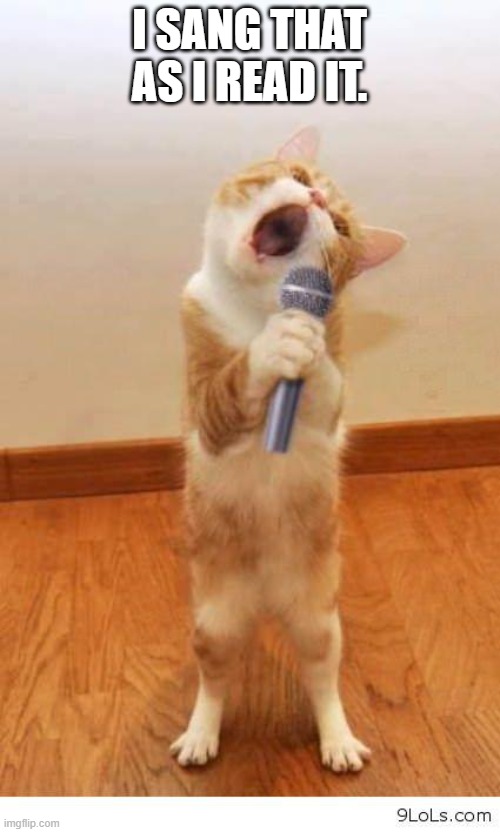 Cat Singer | I SANG THAT AS I READ IT. | image tagged in cat singer | made w/ Imgflip meme maker