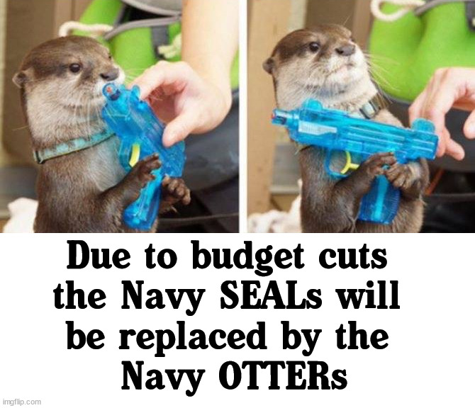 Downsize the military. | Due to budget cuts 
the Navy SEALs will 
be replaced by the 
Navy OTTERs | image tagged in politics,budget cuts | made w/ Imgflip meme maker