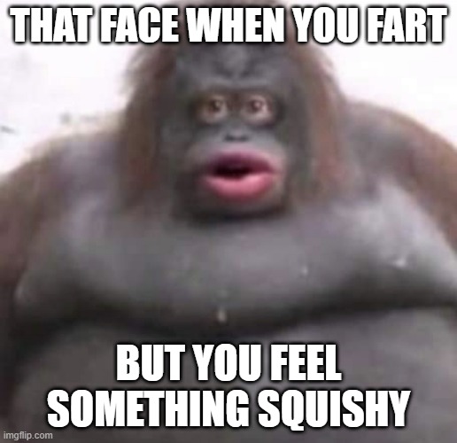 Le Monke | THAT FACE WHEN YOU FART; BUT YOU FEEL SOMETHING SQUISHY | image tagged in le monke | made w/ Imgflip meme maker