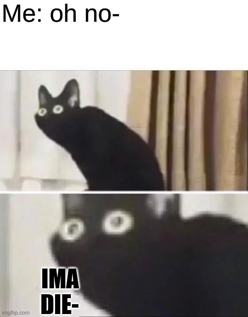 Oh No Black Cat | Me: oh no- IMA DIE- | image tagged in oh no black cat | made w/ Imgflip meme maker