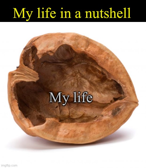 N u t s h e l l | My life in a nutshell; My life | image tagged in nutshell | made w/ Imgflip meme maker