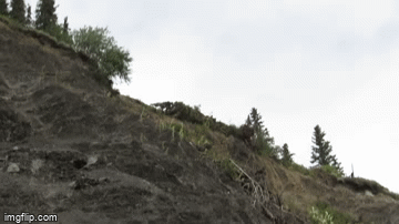 Since there wasn't a car driving off of cliff gif I decided to make one -  Imgflip
