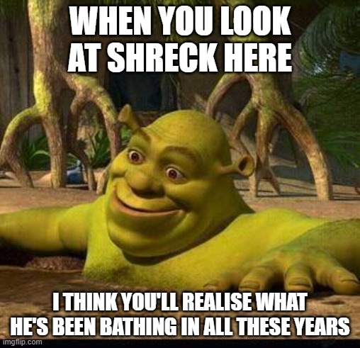 shreck | WHEN YOU LOOK AT SHRECK HERE; I THINK YOU'LL REALISE WHAT HE'S BEEN BATHING IN ALL THESE YEARS | image tagged in shreck | made w/ Imgflip meme maker