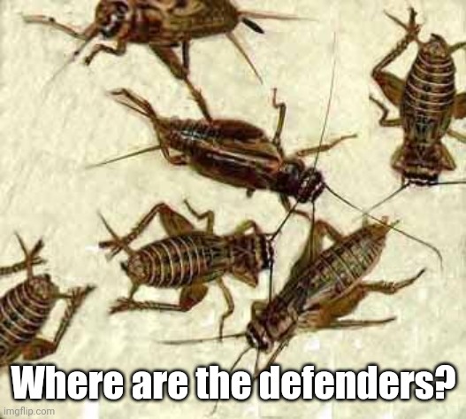 Crickets | Where are the defenders? | image tagged in crickets | made w/ Imgflip meme maker