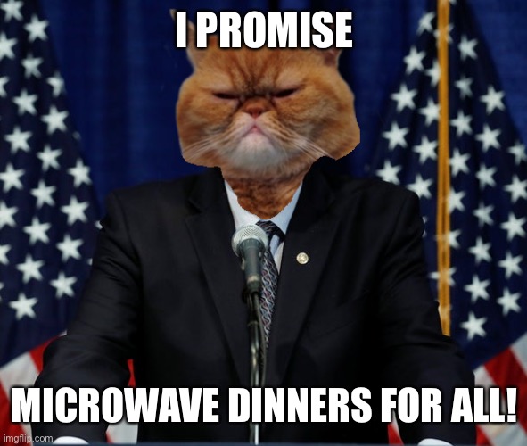 Cat Sanders | I PROMISE MICROWAVE DINNERS FOR ALL! | image tagged in cat sanders | made w/ Imgflip meme maker